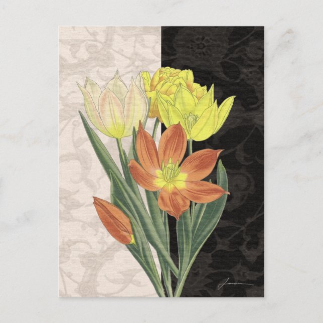 Carte Postale Centre II (Devant)