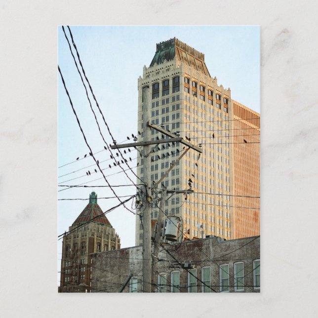 Carte Postale Centre-ville de Tulsa avec oiseaux (Devant)
