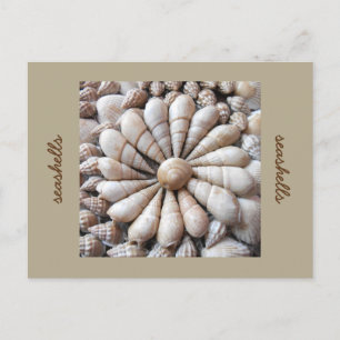 Carte postale Cercle Coquillage Artistique