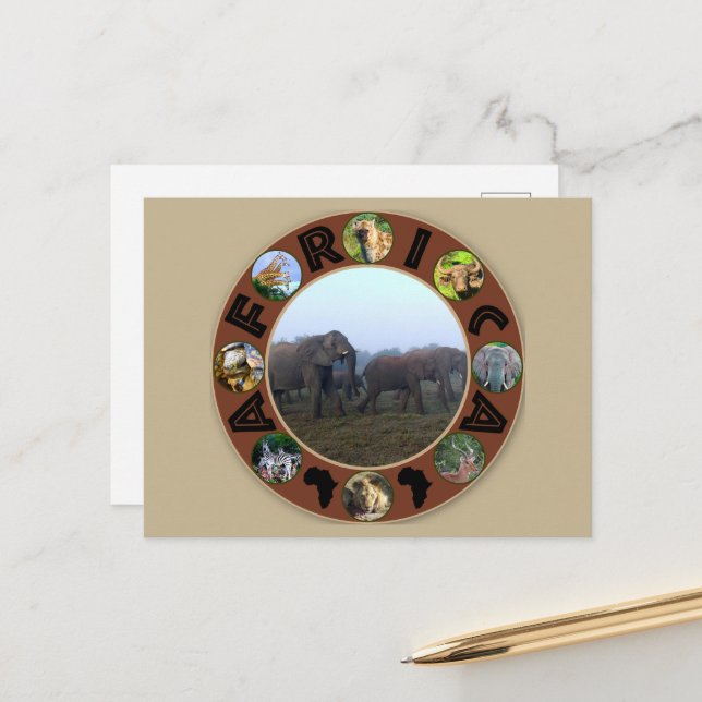 Carte Postale Cercle d'éléphants de la faune africaine (Devant/Arrière en situation)