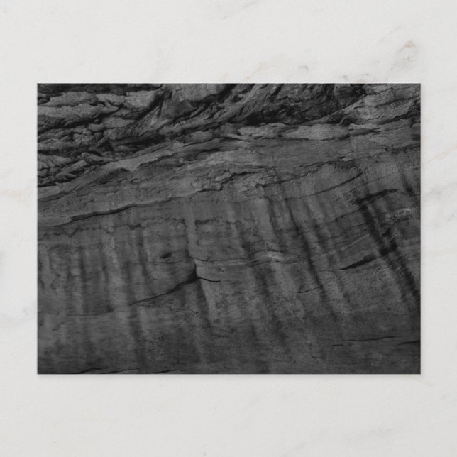 Carte Postale Céréales de bois personnalisables (Devant)