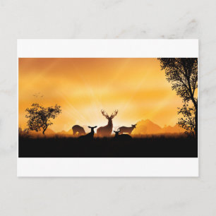 Carte Postale Cerf
