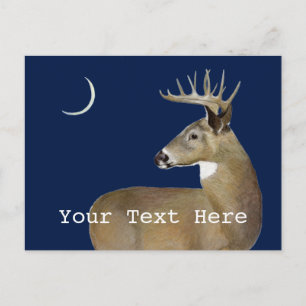 Carte Postale Cerf à queue blanche