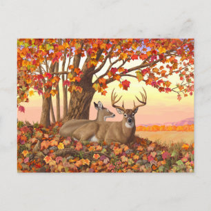 Carte Postale Cerf blanc en automne Nouvelle-Angleterre Couleurs