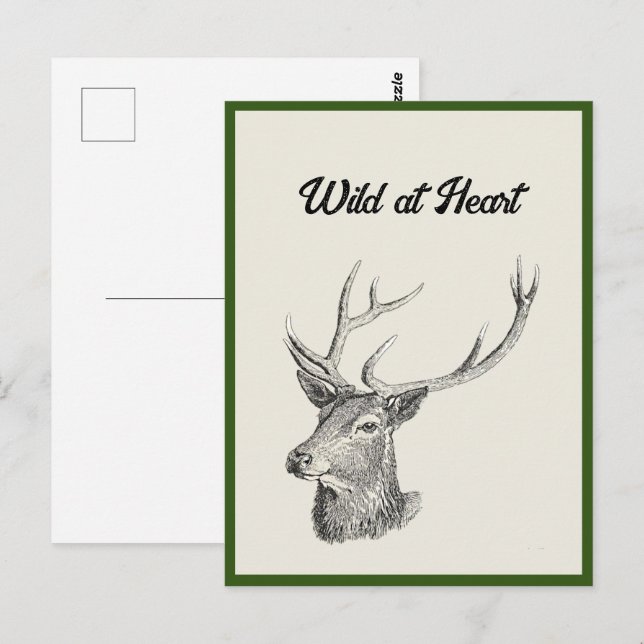 Carte Postale Cerf Buck Head avec Antlers Black and White Art (Devant / Derrière)