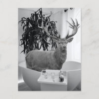 Cerf dans la salle de bain noir blanc