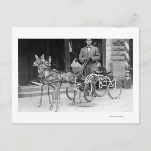 Carte Postale Cerf entraîné attelé à un Odd Sleigh sur roue