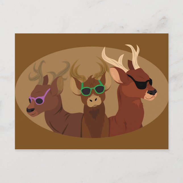 Carte Postale Cerf portant des lunettes de soleil (Devant)