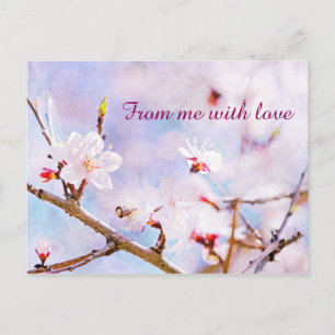 Carte Postale Cerise Japonaise - Sakura En Fleur
