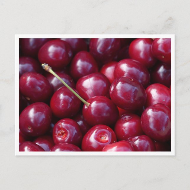 Carte postale - Cerises (Devant)