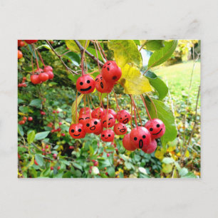 Carte Postale Cerises Mignonnes