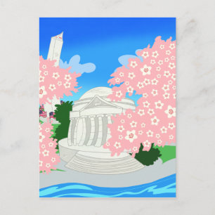 Carte Postale Cerisiers en fleurs à Washington DC