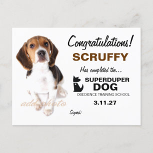 Carte Postale Certificat de chien 311-Super Duper
