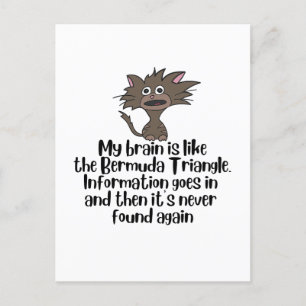 Carte Postale Cerveau Bermudes Funny Crazy Cat Expression