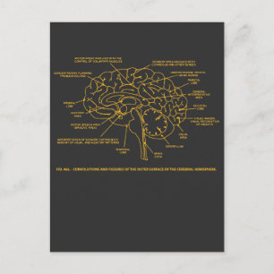 Carte Postale Cerveau d'anatomie humaine vintage