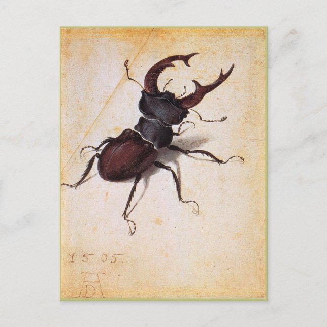 Carte Postale Cervus Lucanus par Albrecht Durer (Devant)