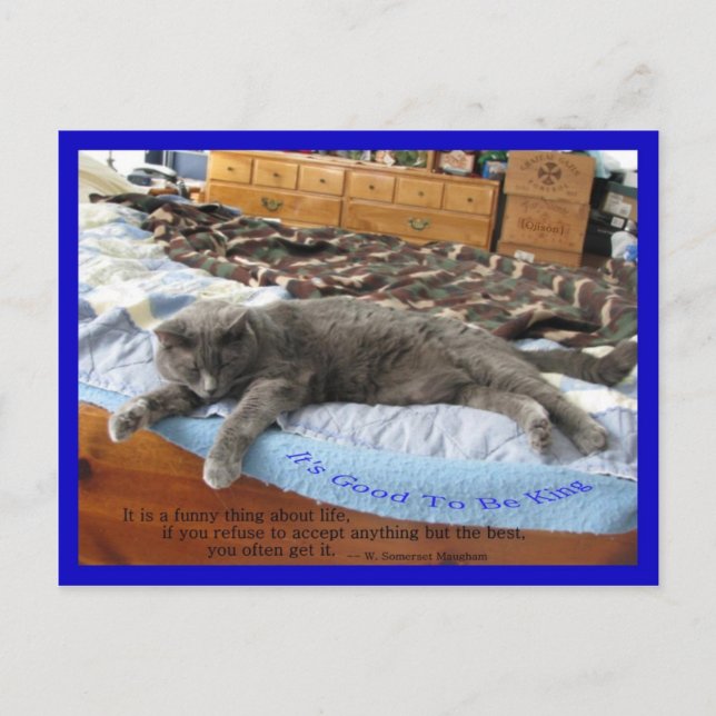 Carte Postale C'est bon d'être roi (Devant)