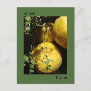 Carte Postale C'est Lemon Thyme.