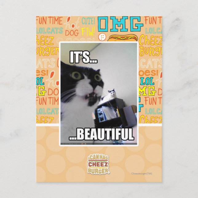 Carte Postale C'est magnifique (Devant)