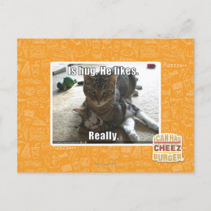 Carte Postale C'est serré. Il aime.