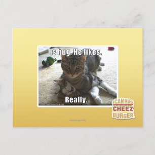 Carte Postale C'est serré. Il aime.