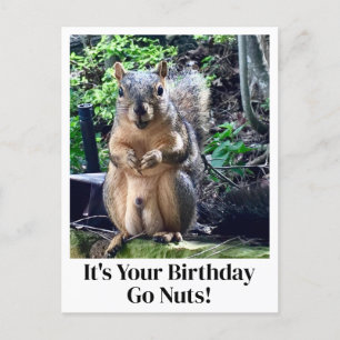 Carte Postale C'est ton anniversaire, craque une noix ! Blague d