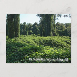 Carte Postale C'Est Un Monde Kudzu Après Tout