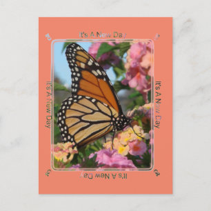 Carte Postale C'est un papillon monarque du jour
