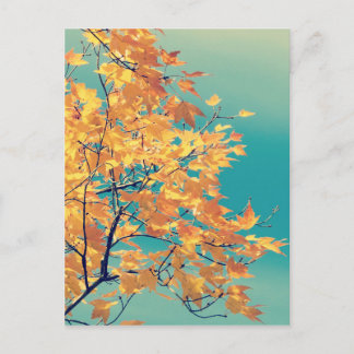 Carte Postale C'est un truc de feuille 1