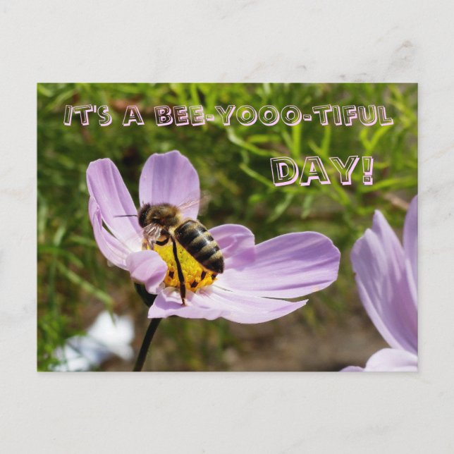 Carte Postale C'est une journée riche en abeilles ! / Bee Poscar (Devant)