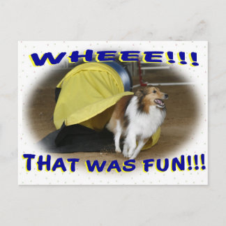Carte Postale C'était amusement