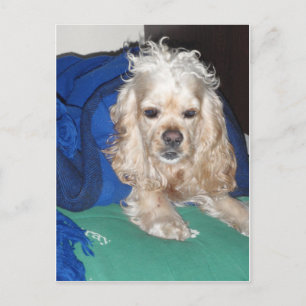 Carte Postale C'était une nuit difficile