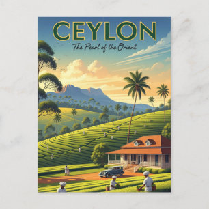 Carte Postale Ceylan Sri Lanka Travel