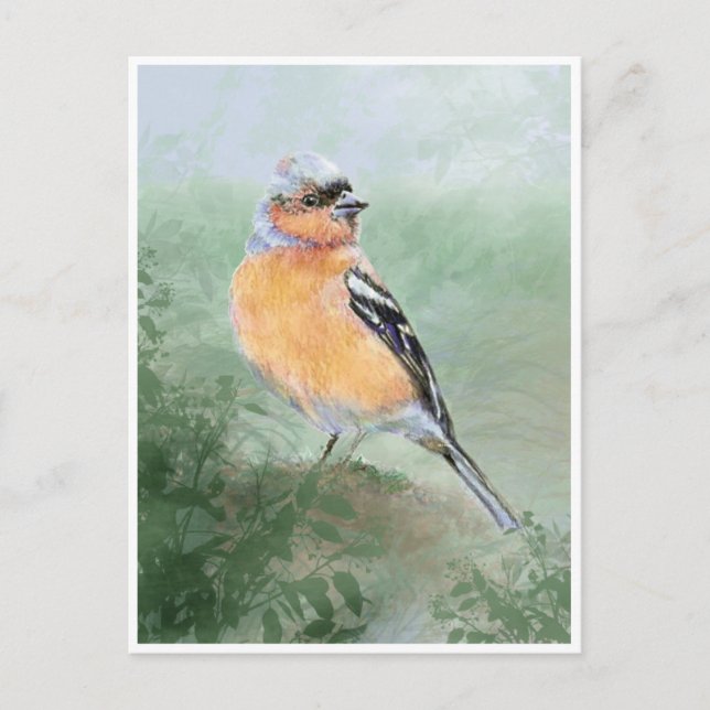 Carte Postale Chaffinch mignon, Aquarelle Collection d'oiseaux (Devant)