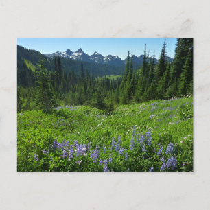 Carte Postale Chaîne des Cascades depuis le parc national du mon