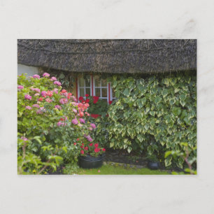 Carte Postale Chalet de chaume, Adare, Comté de Limerick,