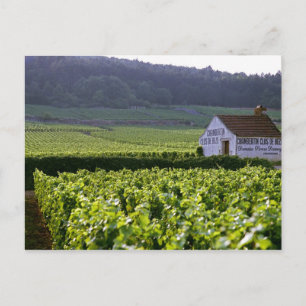 Carte Postale Chambertin Clos de Beze Grand Cru vineyard with