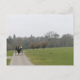 Carte Postale Chambre de Muckross, Killarney Irlande