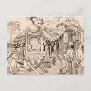 Carte Postale Chameaux Marchant Habillés En Costume