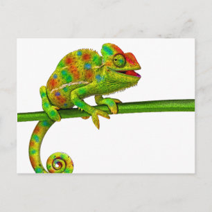 Carte Postale Chameleon
