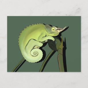 Carte Postale Chameleon de Jackson