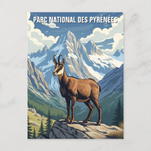 Carte Postale Chamois en France Parc national des Pyrénées Voyag