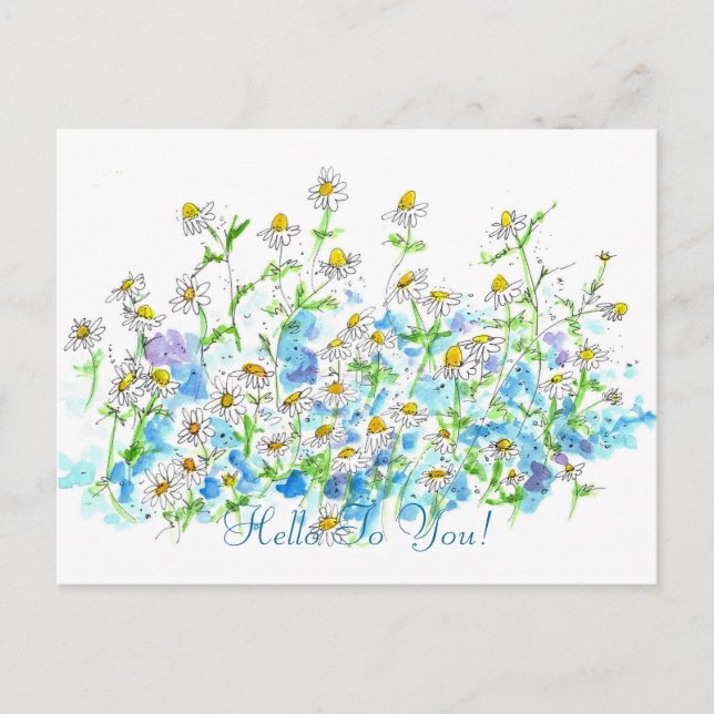 Carte Postale Chamomile Daisy Garden Bonjour À Vous (Devant)