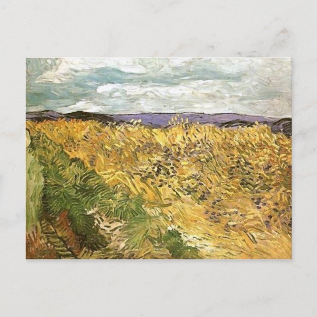 Carte Postale Champ blé avec Cornflowers Van Gogh Art (Devant)
