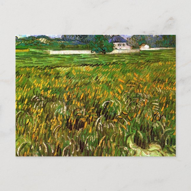 Carte Postale Champ de blé à Auvers par Vincent van Gogh (Devant)