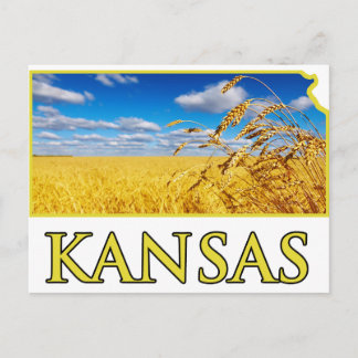 Carte Postale Champ de blé du Kansas