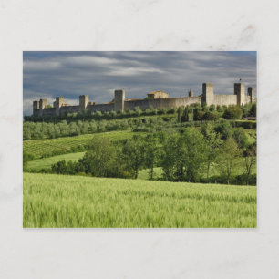 Carte Postale Champ de blé et Monteriggioni lointain, dans la