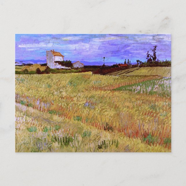 Carte Postale Champ de blé (F564) Van Gogh Fine Art (Devant)