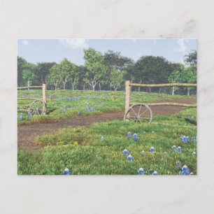 Carte Postale Champ de Bluebonnets