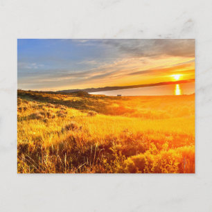 Carte Postale Champ de bord de lac